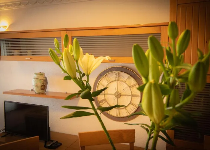 Fantástico apartamento de 1 habitación en El Pris